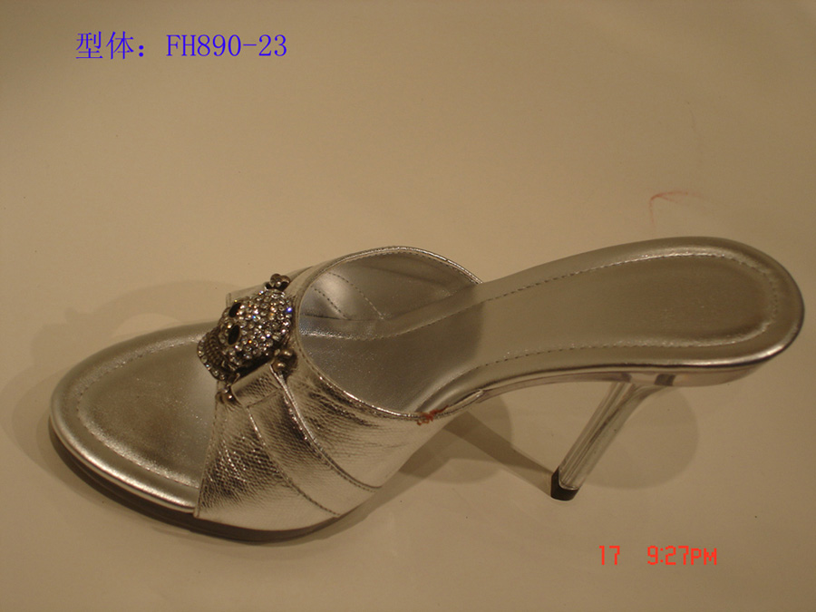 fashion lady shoe