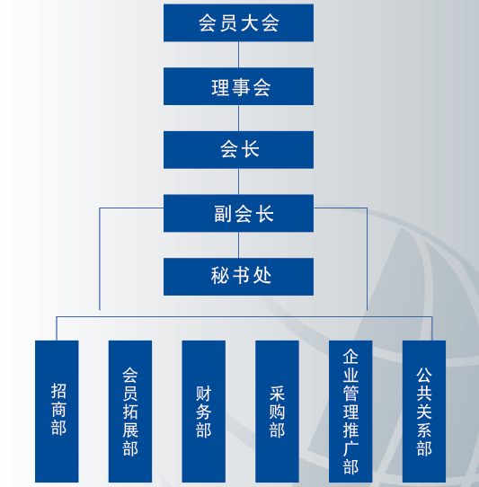 协会的组织架构