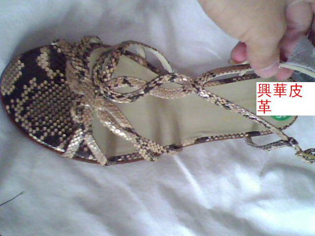 029_ sample shoes