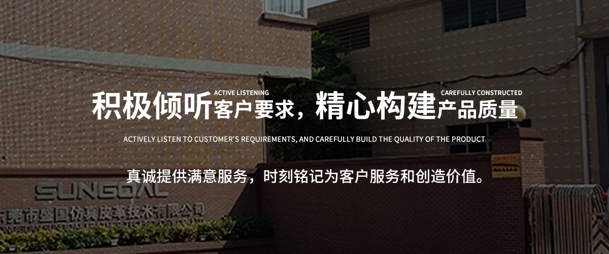 盛国（东莞）新材料科技有限公司