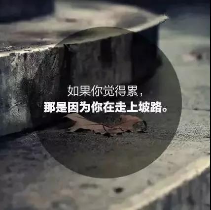  The shoe lining, mirror PU, PU.