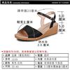 远美女士凉鞋1539（35-40）图片