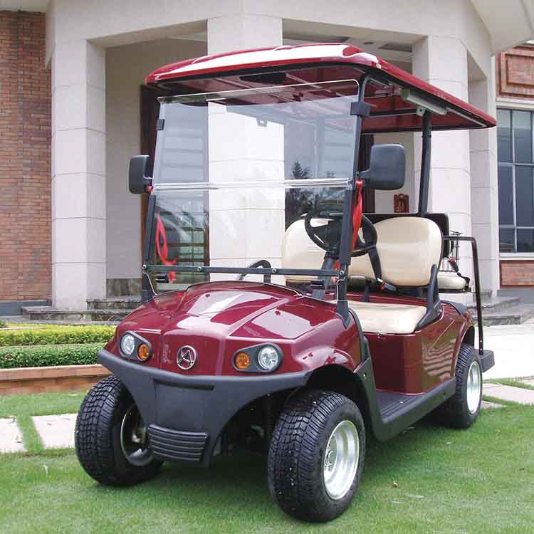 RD﹣2AC+2+D electric golf cart AC system hot sale