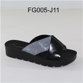 FG005-J11