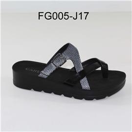 FG005-J17