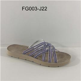 FG003-J22