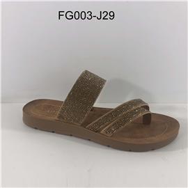 FG003-J29