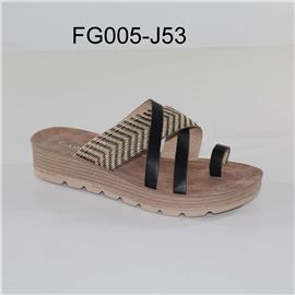 FG005-J53