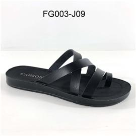 FG003-J09