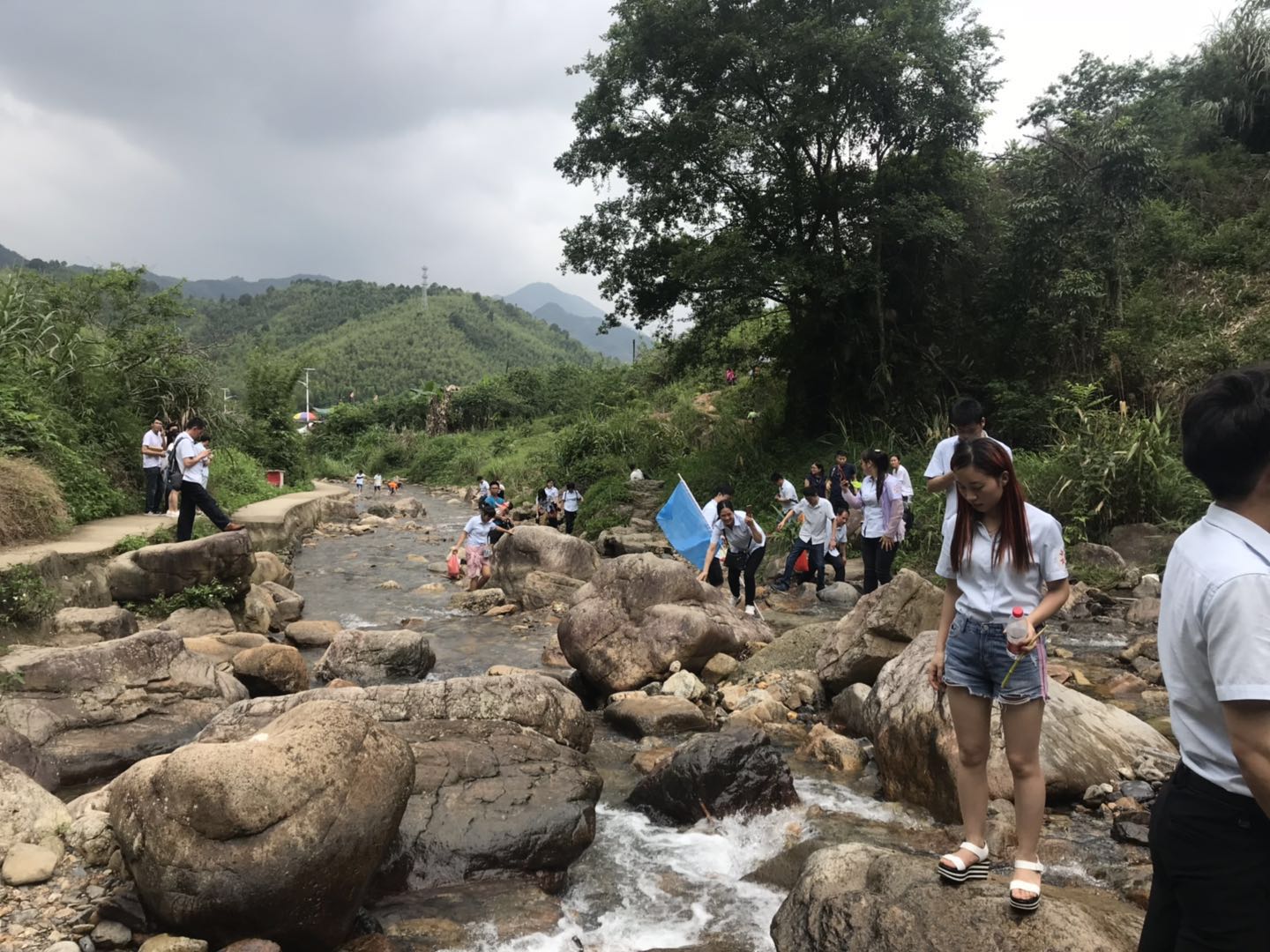 公司活动