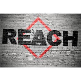 REACH法规219项SVHC检测25批物质清单报告 
