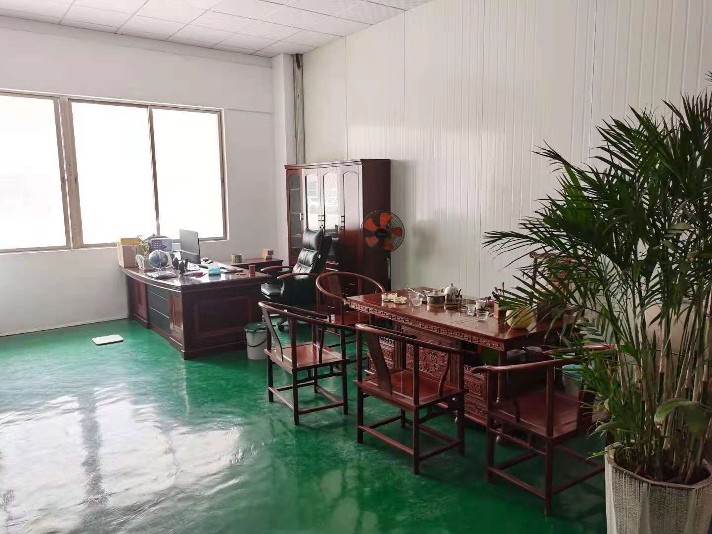 Plant display