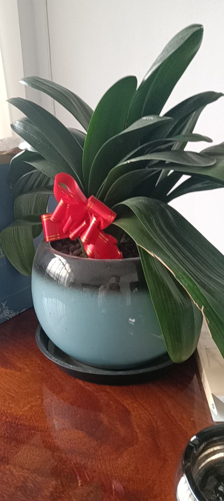 恒枫鞋材