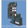 平板硫化机 QLB-(D/Q)400x400图片