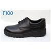 DF-F100图片