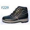 DF-F229图片