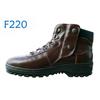 DF-F220 图片
