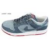 NIKE DUNK图片