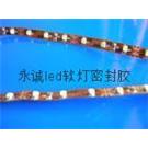 LED软灯条密封胶图片