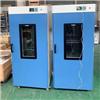 DGG-9070A/DGG-9140A立式高温烘箱图片