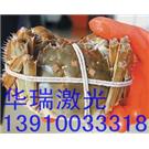 螃蟹激光刻字机|螃蟹激光打标机|螃蟹激光雕刻机|螃蟹激光打商标图片