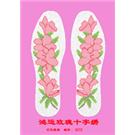 078，081，082图片