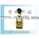 数字声级计，武汉国仪数字声级计，高精度声级计，声级计图片