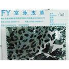 FY0257图片