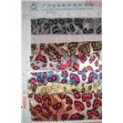 距离豹点图片