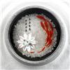 RZY-096图片