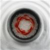 RZY-095图片