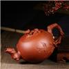 RZY-079图片