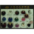鞋花-P3021326图片