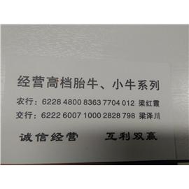 晨欣皮业图片