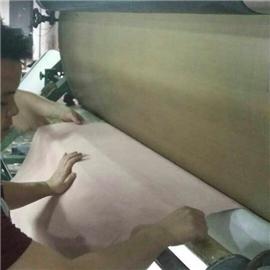 反毛皮003  泰亚  优质反毛皮图片