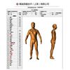 3D人体扫描仪 服装智能制造（网络预售定金）图片