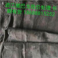猪巴戈低价出售图片