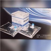 意大利intercom水性胶水图片