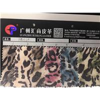 云豹图片