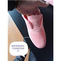 威斯顿鞋袜机图片