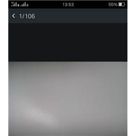 真皮图片