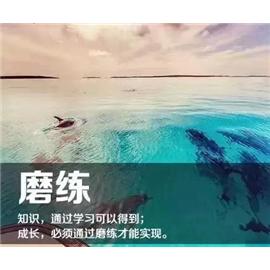 各位企业老板最希望员工努力工作，随时了解生产进度，什么时候能够交货。员工也希望有活干，并且取得合理的工资，并且可以随时查询自己的图片