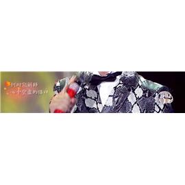 蛇纹 鞋子 包包 服装，都好看