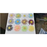 玻璃钻菊花图片
