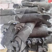 阿根廷cbr黑色tr3皮胚图片