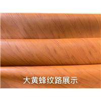 大黄蜂图片