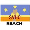 REACH法规219项SVHC检测25批物质清单报告 图片