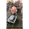 塑胶模具厂家 宠物塑料模具图片